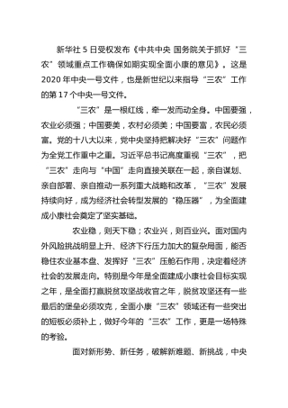 中央一号文件托起亿万农民的幸福梦
