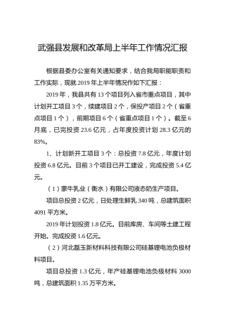 武强县发展和改革局上半年工作情况汇报