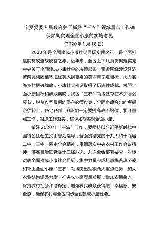 宁夏党委人民政府关于抓好“三农”领域重点工作确保如期实现全面小康的实施意见