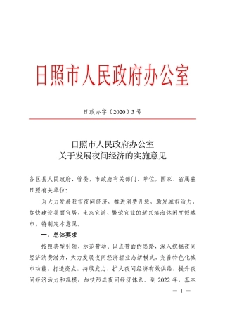 日照市关于发展夜间经济的实施意见