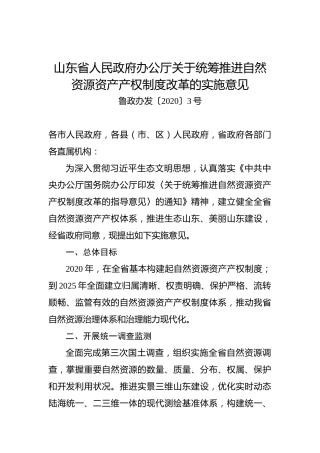 山东省人民政府办公厅关于统筹推进自然资源资产产权制度改革的实施意见