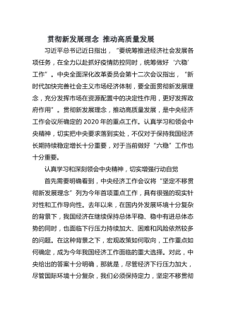贯彻新发展理念推动高质量发展