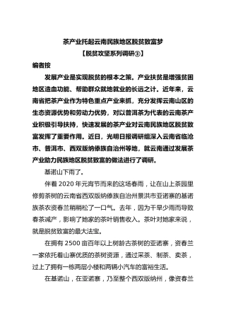 【脱贫攻坚系列调研③】茶产业托起云南民族地区脱贫致富梦