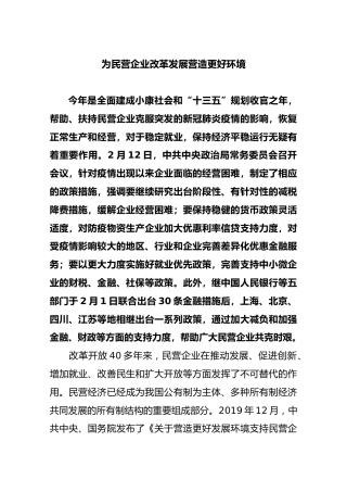 为民营企业改革发展营造更好环境
