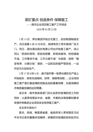 紧盯重点创造条件保障复工——我市企业项目复工复产工作综述