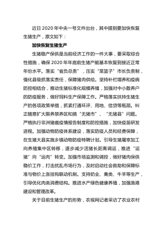 对标中央一号文件如何加快恢复生猪生产