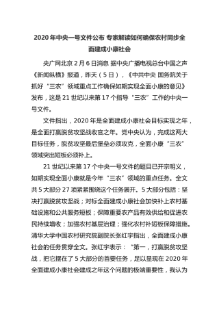 2020年中央一号文件公布专家解读如何确保农村同步全面建成小康社会