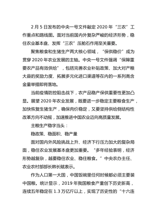 解码2020年三农改革路线图（一）