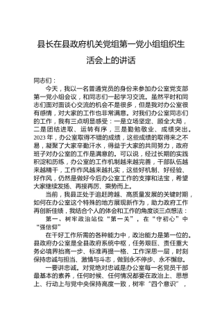 县长在县政府机关党组第一党小组组织生活会上的讲话