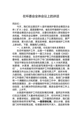 在环委会全体会议上的讲话