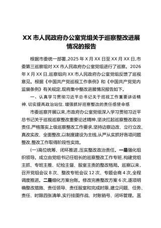 XX市人民政府办公室党组关于巡察整改进展情况的报告