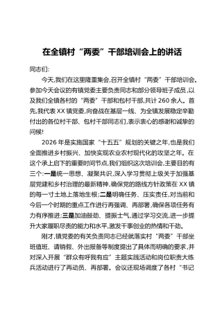 在全镇村“两委”干部培训会上的讲话