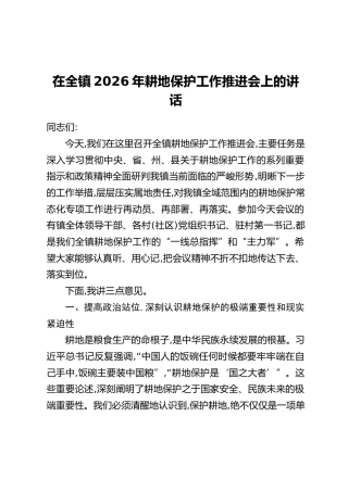 在全镇2026年耕地保护工作推进会上的讲话