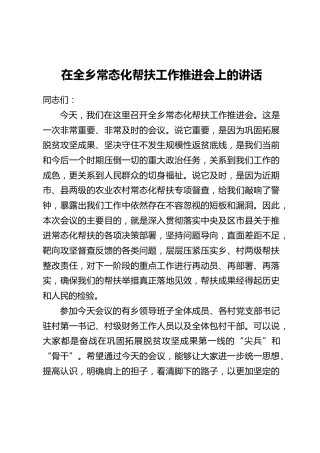 在全乡常态化帮扶工作推进会上的讲话