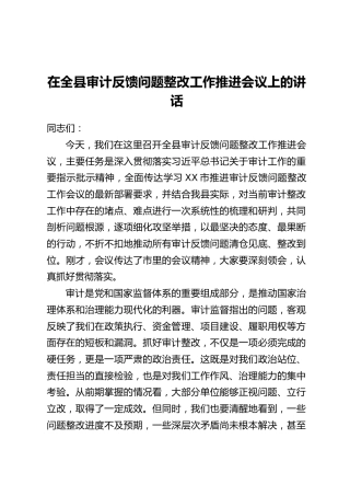 在全县审计反馈问题整改工作推进会议上的讲话