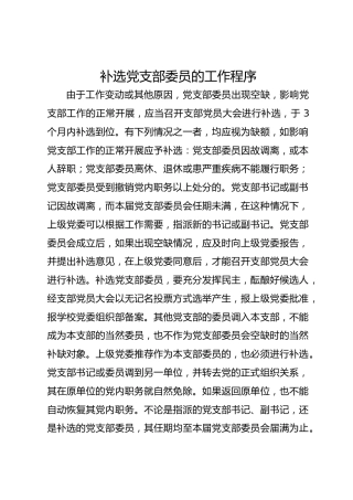 补选党支部委员的工作程序