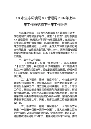 XX市生态环境局XX管理局2026年上半年工作总结和下半年工作计划