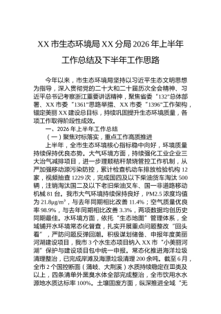 XX市生态环境局XX分局2026年上半年工作总结及下半年工作思路