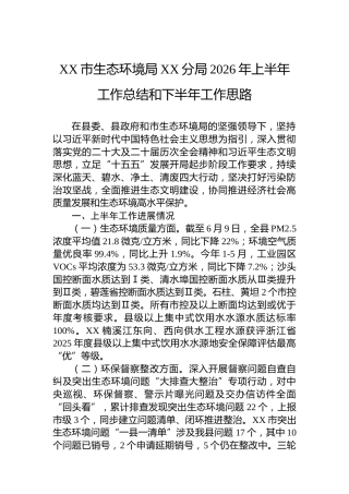XX市生态环境局XX分局2026年上半年工作总结和下半年工作思路