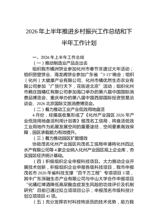 2026年上半年推进乡村振兴工作总结和下半年工作计划