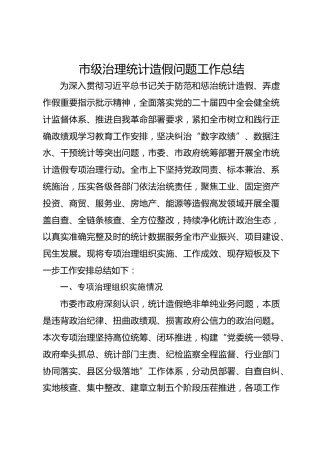 市级治理统计造假问题工作总结