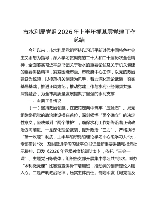 市水利局党组2026年上半年抓基层党建工作总结