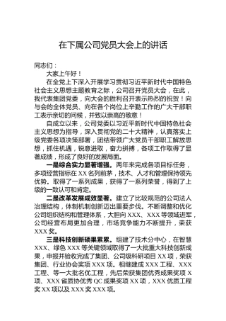 在下属公司党员大会上的讲话