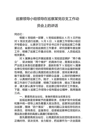 巡察领导小组领导在巡察某党总支工作动员会上的讲话