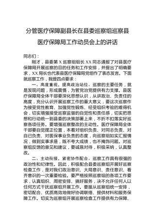 分管医疗保障副县长在县委巡察组巡察县医疗保障局工作动员会上的讲话