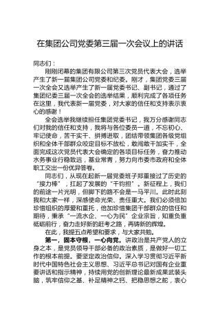 在集团公司党委第三届一次会议上的讲话