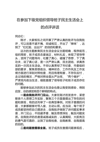 在参加下级党组织领导班子民主生活会上的点评讲话