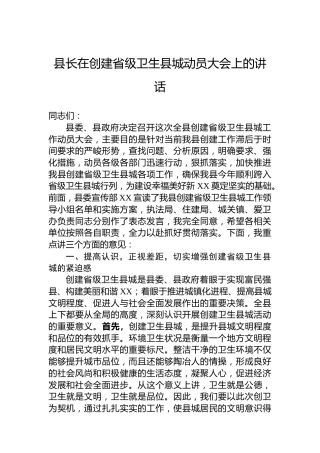 县长在创建省级卫生县城动员大会上的讲话