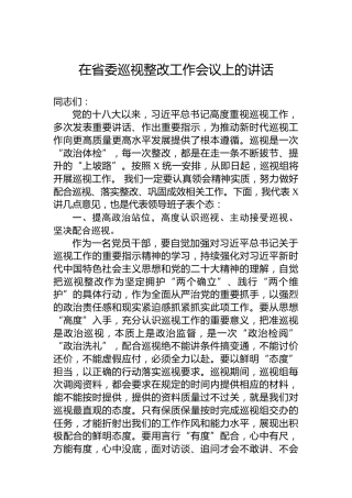 在省委巡视整改工作会议上的讲话
