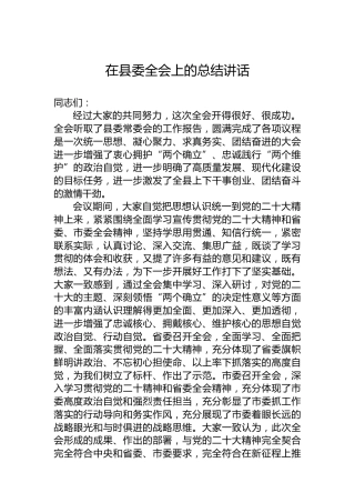在县委全会上的总结讲话