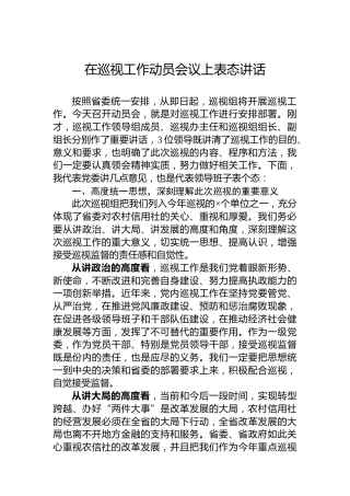 在巡视工作动员会议上表态讲话