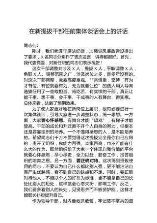 在新提拔干部任前集体谈话会上的讲话