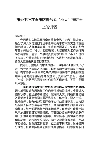 市委书记在全市防御台风“小犬”推进会上的讲话