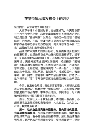 在某街镇品牌发布会上的讲话