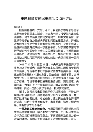 主题教育专题民主生活会点评讲话