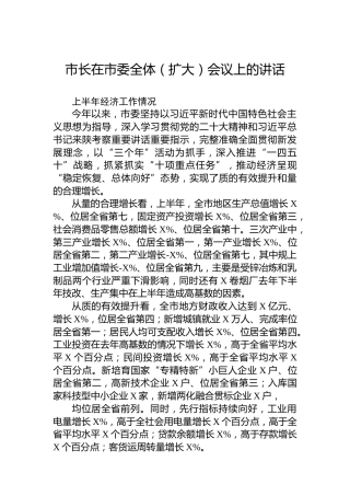 市长在市委全体（扩大）会议上的讲话