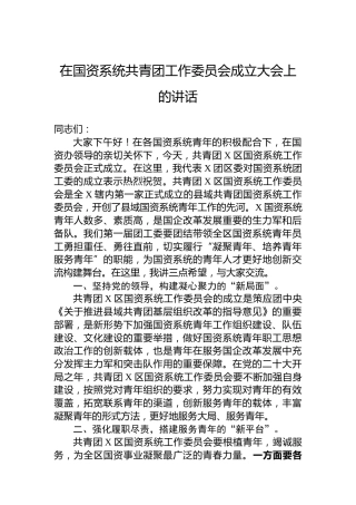 在国资系统共青团工作委员会成立大会上的讲话