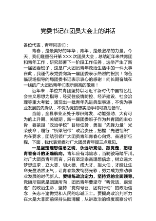 党委书记在团员大会上的讲话