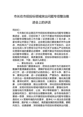 市长在市招投标领域突出问题专项整治推进会上的讲话
