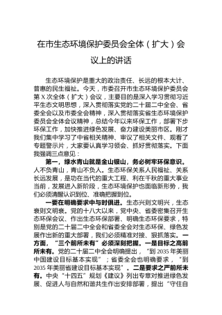 在市生态环境保护委员会全体（扩大）会议上的讲话