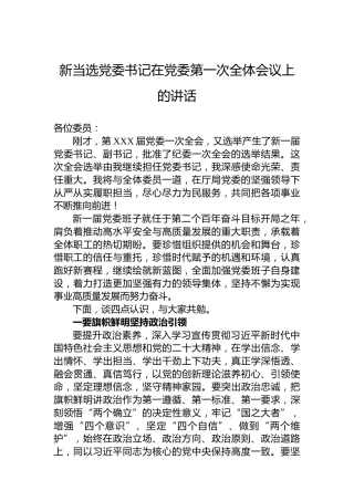 新当选党委书记在党委第一次全体会议上的讲话