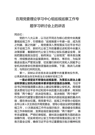 在局党委理论学习中心组巡视巡察工作专题学习研讨会上的讲话