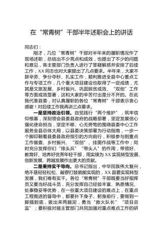 在“常青树”干部半年述职会上的讲话