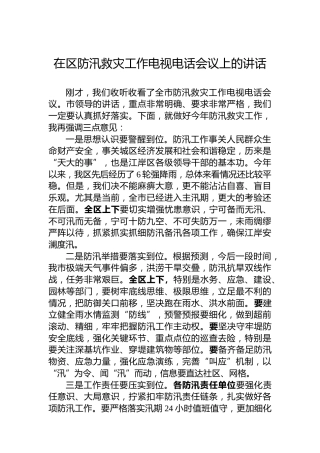 在区防汛救灾工作电视电话会议上的讲话