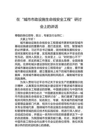 在“城市市政设施生命线安全工程”研讨会上的讲话