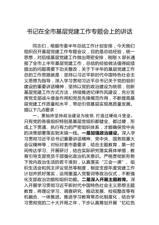 书记在全市基层党建工作专题会上的讲话